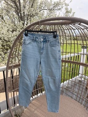 American eagle strigid mom jeans